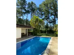 Vista 6