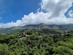 Vista 12