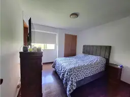 Vista 13