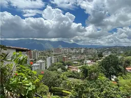 Vista 14