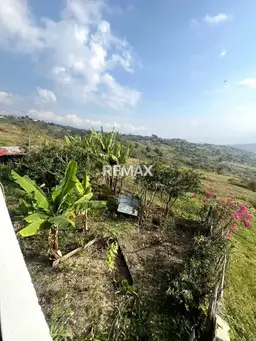 Vista 4