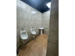 Vista 19