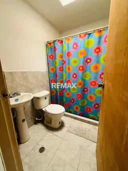 Vista 6
