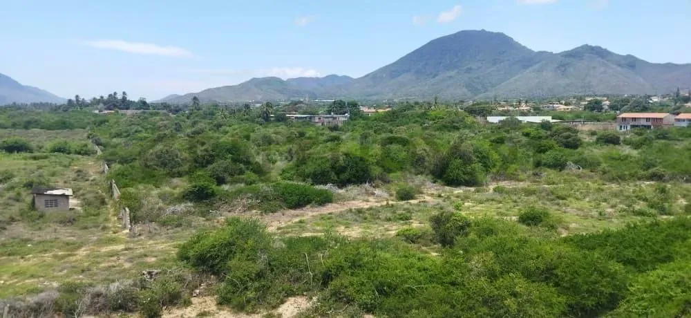 Terreno Playa el Agua, Antolin del Campo, La Plaza de Paraguachi, Nueva Esparta - 5