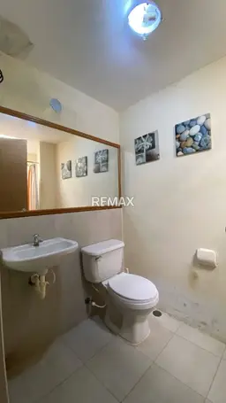 Vista 5