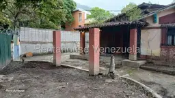Vista 12