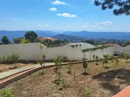 Vista 39