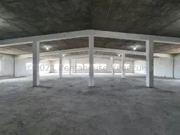 Vista 6