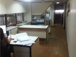 Vista 15