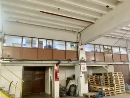 Vista 5