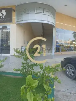 Vista 19