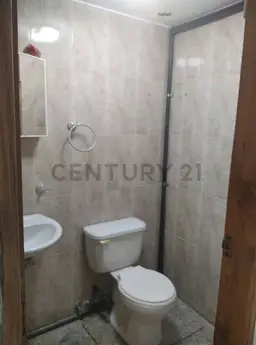 Vista 6