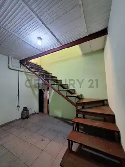 Vista 6