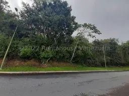 Vista 1