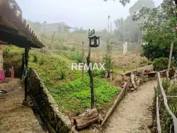 Vista 6