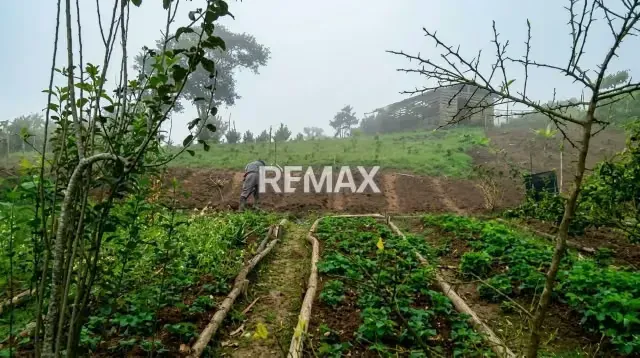 CASA CAMPO EN VENTA | VIA CASA DEL PADRE - 10