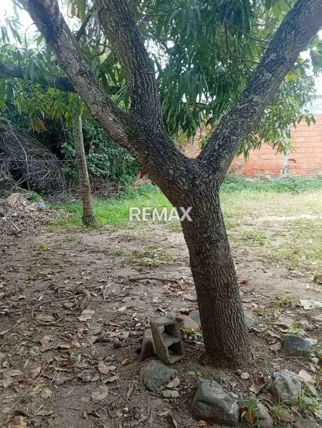 Casa en Venta ubicada en la calle 21 entre carrera 17 y 18 Zona Centro- Barquisimeto - 5