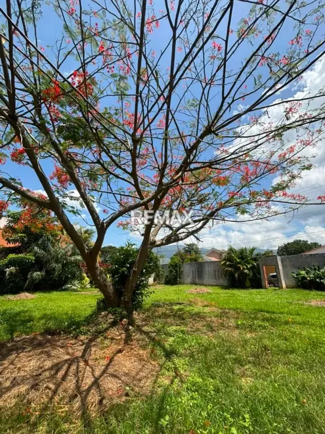 Venta de Terreno en el Solar - 16