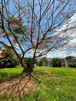 Vista 16