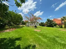 Vista 19