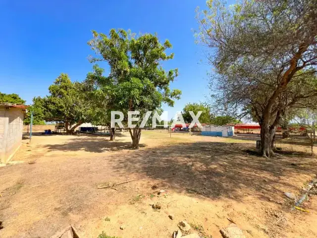 Granja avícola en venta en la Cañada de Urdaneta