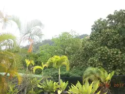 View 39