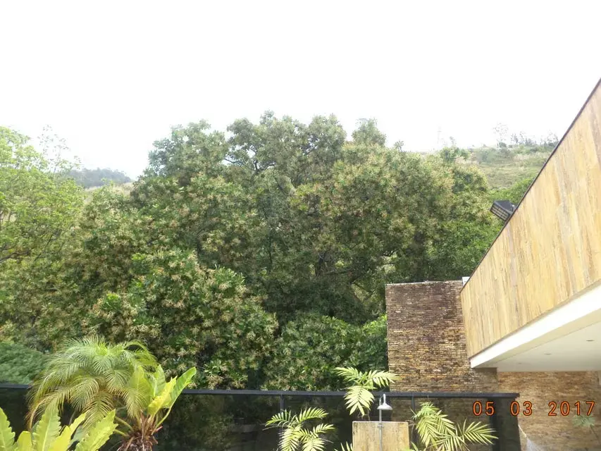 Apartamento (Multiples Niveles) en Venta en Los Chorros, Distrito Metropolitano - 40