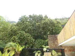 View 40