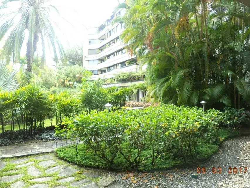 Apartamento (Multiples Niveles) en Venta en Los Chorros, Distrito Metropolitano - 80