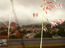 View 1