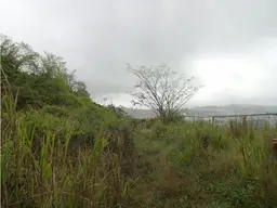 View 3