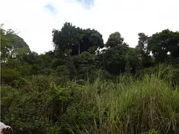 View 4