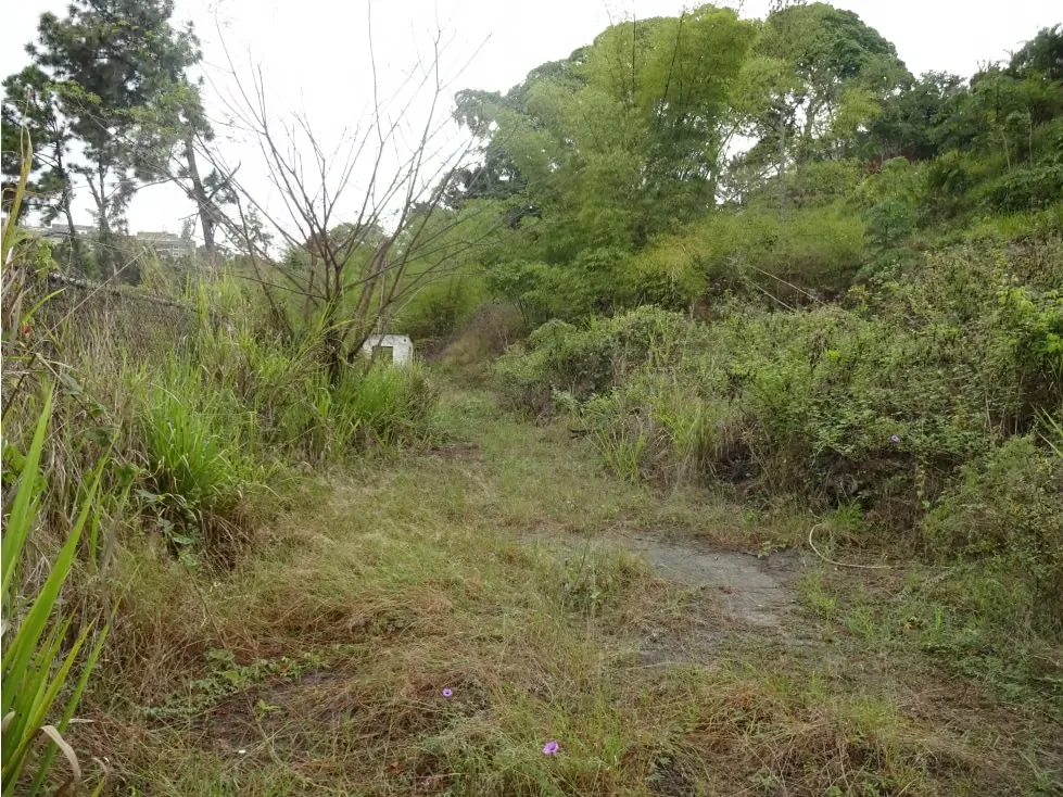 Vendo terreno 1804m2 Lomas del Club Hípico/2588 - 5