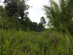 View 6