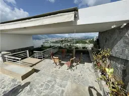 Vista 11