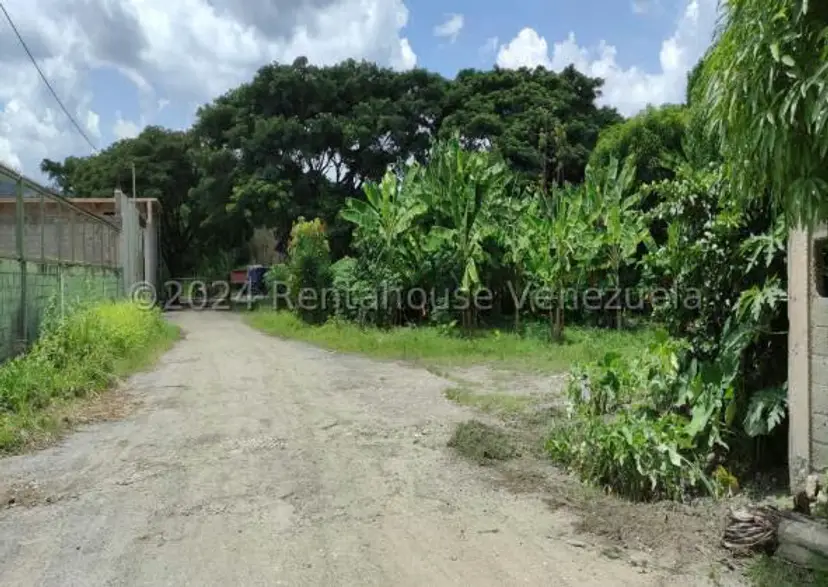 Terreno (Industrial) en Venta en Terrinca, Miranda