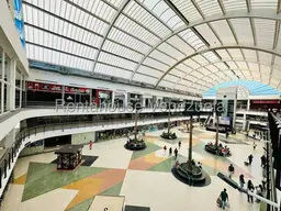 Vista 26