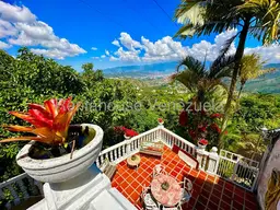 View 5