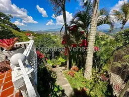 View 6