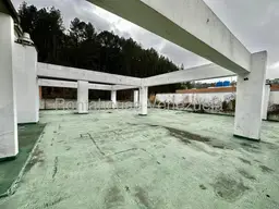 Vista 24