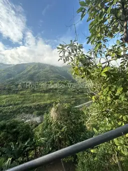 Vista 4