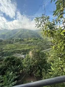 Vista 8
