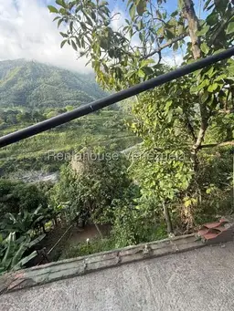 Vista 9