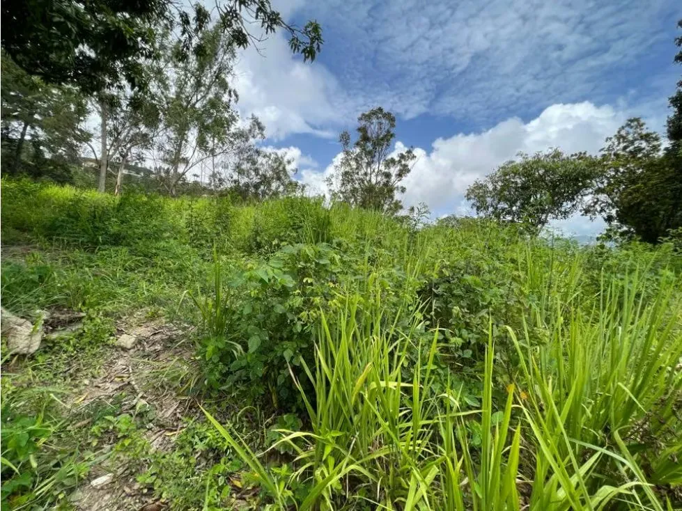 Se vende terreno 2005m2 Cerro Verde - 3