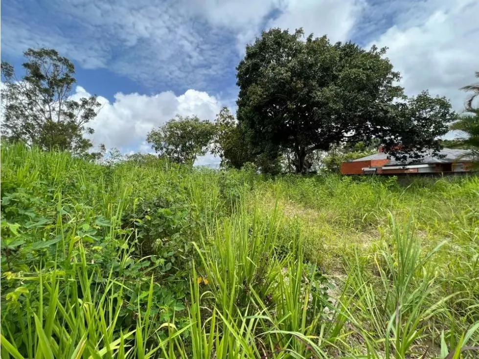 Se vende terreno 2005m2 Cerro Verde - 4