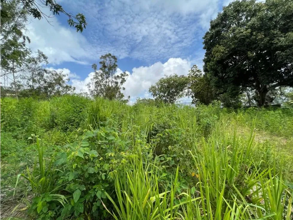 Se vende terreno 2005m2 Cerro Verde - 5
