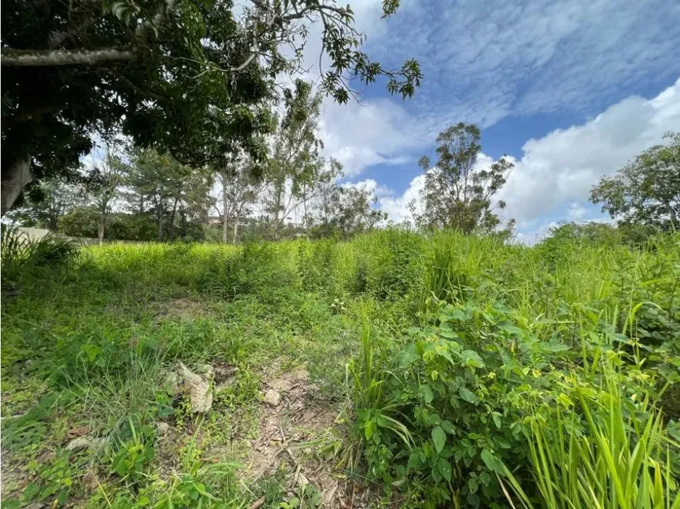 Se vende terreno 2005m2 Cerro Verde - 6