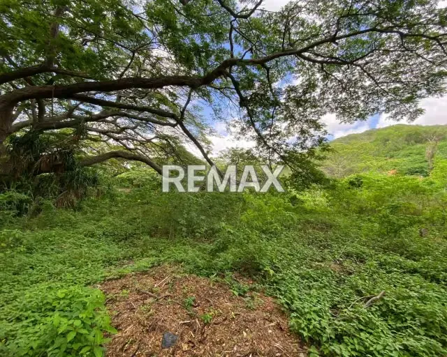 OPORTUNIDAD ÚNICA: EN VENTA LOCAL COMERCIAL + 2 APTS SOBRE 2.128 M² + 1,064M² DE TERRENO EN MARGARITA. ¡EL ACTIVO ESTRATÉGICO QUE NECESITAS PARA CRECER CON VISIÓN, SOLIDEZ Y CERCANÍA AL MAR! - 15