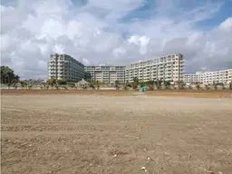 Vista 19