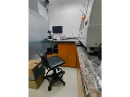 Vista 15